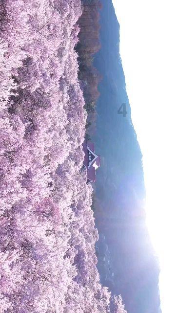 逃离违建房屋6