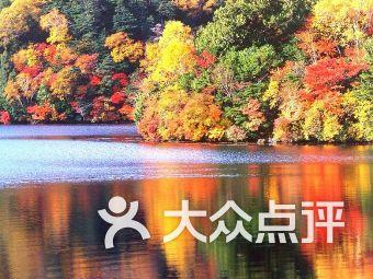 超数码宝贝3.0