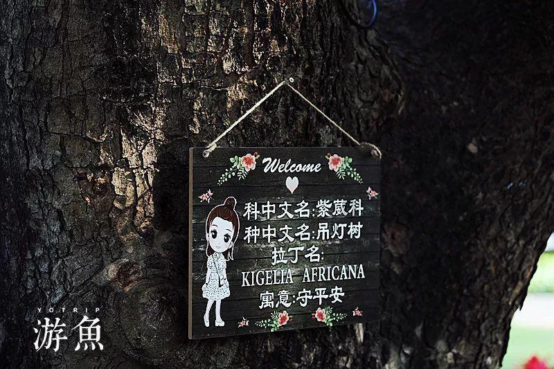 -7/5+5/3-3/5-2/3怎么算？游戏画面