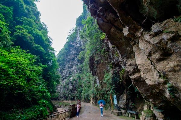 驼队经过的地方