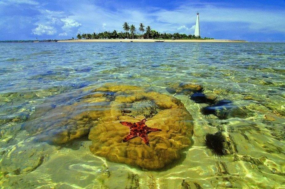 海底世界填颜色4