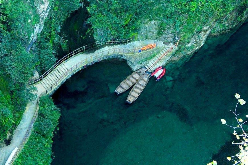 还纠结黄皮肤是否适合墨绿色上衣？看看凯特王妃10套穿搭就知道了